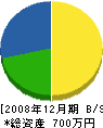 町田造園 貸借対照表 2008年12月期