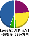 葵 貸借対照表 2009年7月期