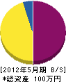 坂本建設 貸借対照表 2012年5月期
