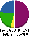 松嶋造園 貸借対照表 2010年2月期