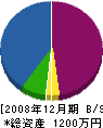 辻元設備工業 貸借対照表 2008年12月期