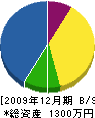 宮脇造園 貸借対照表 2009年12月期