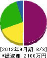 小川塗装店 貸借対照表 2012年9月期