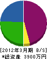 綱澤建設 貸借対照表 2012年3月期
