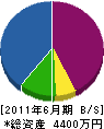 武井土建 貸借対照表 2011年6月期