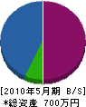 大島建築 貸借対照表 2010年5月期
