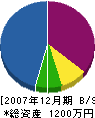 辻元設備工業 貸借対照表 2007年12月期