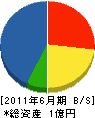 日本電工 貸借対照表 2011年6月期