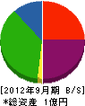 濱田美装社 貸借対照表 2012年9月期