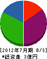 ヤマカ 貸借対照表 2012年7月期