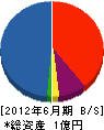 日本工業所 貸借対照表 2012年6月期