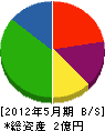田中電機商会 貸借対照表 2012年5月期