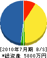 寺島電工 貸借対照表 2010年7月期