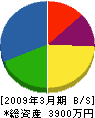 嵯峨水道 貸借対照表 2009年3月期