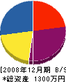 西川塗装店 貸借対照表 2008年12月期