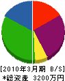 沢田工業 貸借対照表 2010年3月期