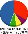 樋笠土木 貸借対照表 2007年12月期