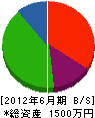 鎌田さく泉工業 貸借対照表 2012年6月期