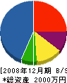 飯野組 貸借対照表 2008年12月期