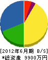 新田工務店 貸借対照表 2012年6月期