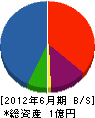 水島組 貸借対照表 2012年6月期