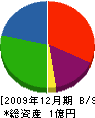 アグリパートナー宮崎 貸借対照表 2009年12月期