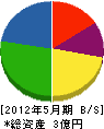 三陽 貸借対照表 2012年5月期