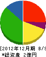 矢津田工業 貸借対照表 2012年12月期