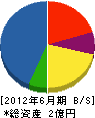 庄司工業 貸借対照表 2012年6月期