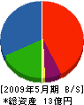 石川営板 貸借対照表 2009年5月期