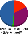 永山組 貸借対照表 2010年6月期