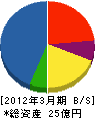 日東紡音響エンジニアリング 貸借対照表 2012年3月期