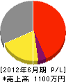 日本造園研究所 損益計算書 2012年6月期