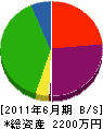 山崎建設工業 貸借対照表 2011年6月期