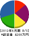 寺田設備 貸借対照表 2012年6月期