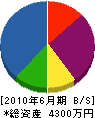 大阪道路産業 貸借対照表 2010年6月期