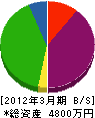 太田電気工業所 貸借対照表 2012年3月期