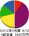 横山電機 貸借対照表 2012年9月期