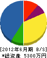 佐藤工業所 貸借対照表 2012年6月期