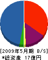 坪田工務店 貸借対照表 2009年5月期