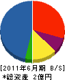 松井建設 貸借対照表 2011年6月期