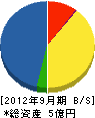 川村組 貸借対照表 2012年9月期