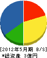 三井組 貸借対照表 2012年5月期