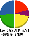 浜松ヒートテック 貸借対照表 2010年6月期