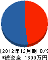 和田電気商会 貸借対照表 2012年12月期