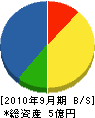 篠田建設 貸借対照表 2010年9月期