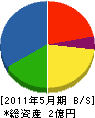 山川電気 貸借対照表 2011年5月期
