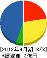 橋尾スポーツ 貸借対照表 2012年9月期