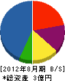 上野総建 貸借対照表 2012年8月期