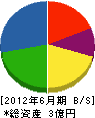 三槻組 貸借対照表 2012年6月期